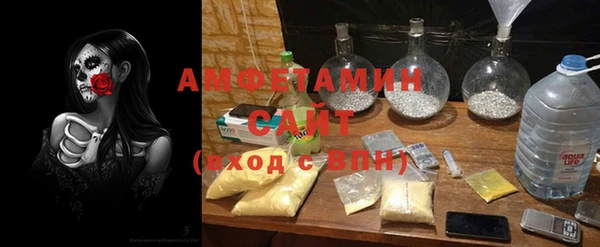 PSILOCYBIN Алзамай