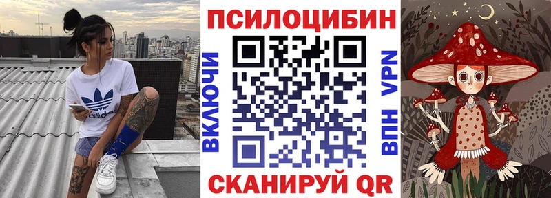 Псилоцибиновые грибы Psilocybine cubensis  где купить наркоту  MEGA рабочий сайт  Гаврилов Посад 