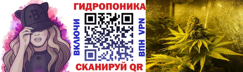 Канабис план  Гаврилов Посад 